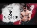 3 shoulder exercises you need to be doing | Dejan Stipke