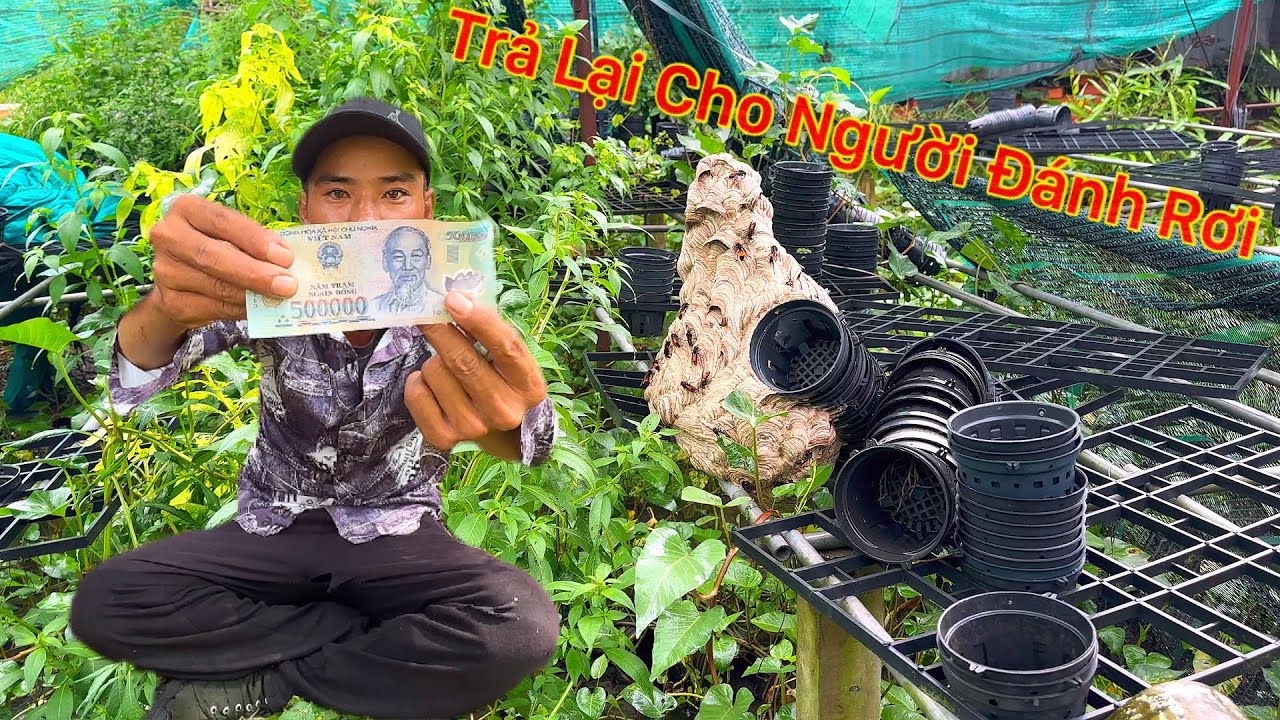 NGHỀ MƯU SINH CÔNG KHAI SỐ TIỀN NHẶT ĐƯỢC CỦA RƠI VÀ GIÚP NGƯỜI DÂN BẮT BA TỔ ONG