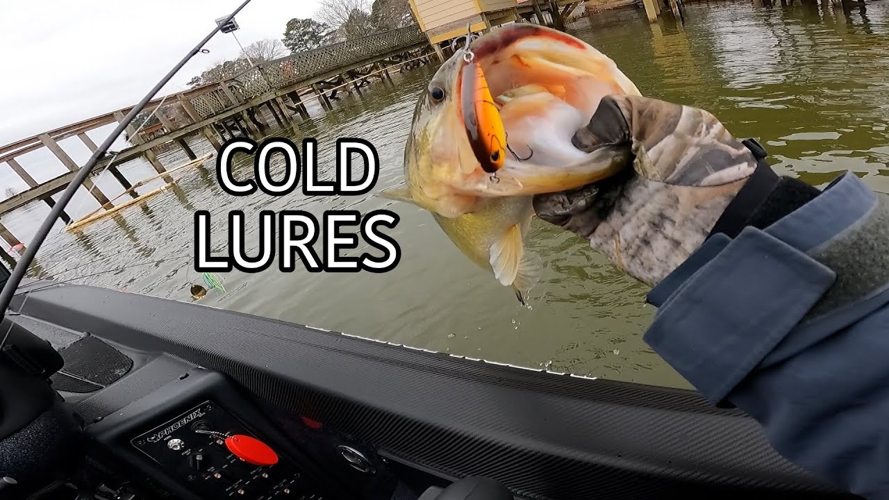COLD Bass Fishing Tournament.... How Do You Catch Em?