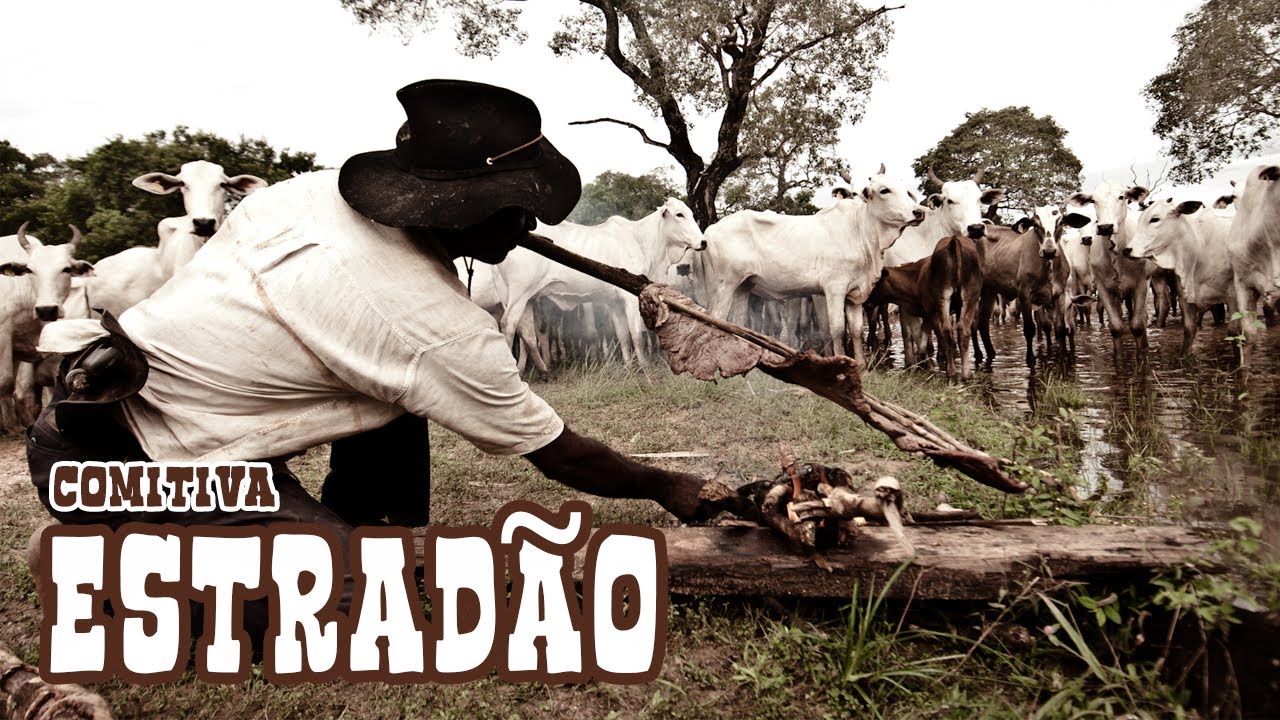 Peão tocando a boiada - Mato Grosso