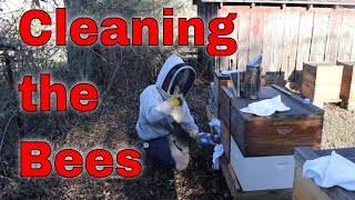 The Easiest Time to Kill Varroa Mites