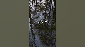 ويا قوم ما لي ادعوكم الى النجاة وتدعونني الى النار تلاوة خاشعة للقارئ خالد الجليل سورة غافر {٤١-٤٢}