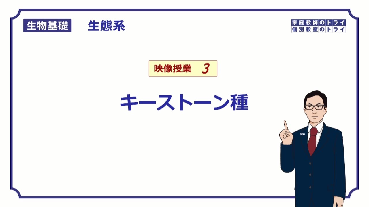 【生物基礎】　生態系3　キーストーン種　（１２分）