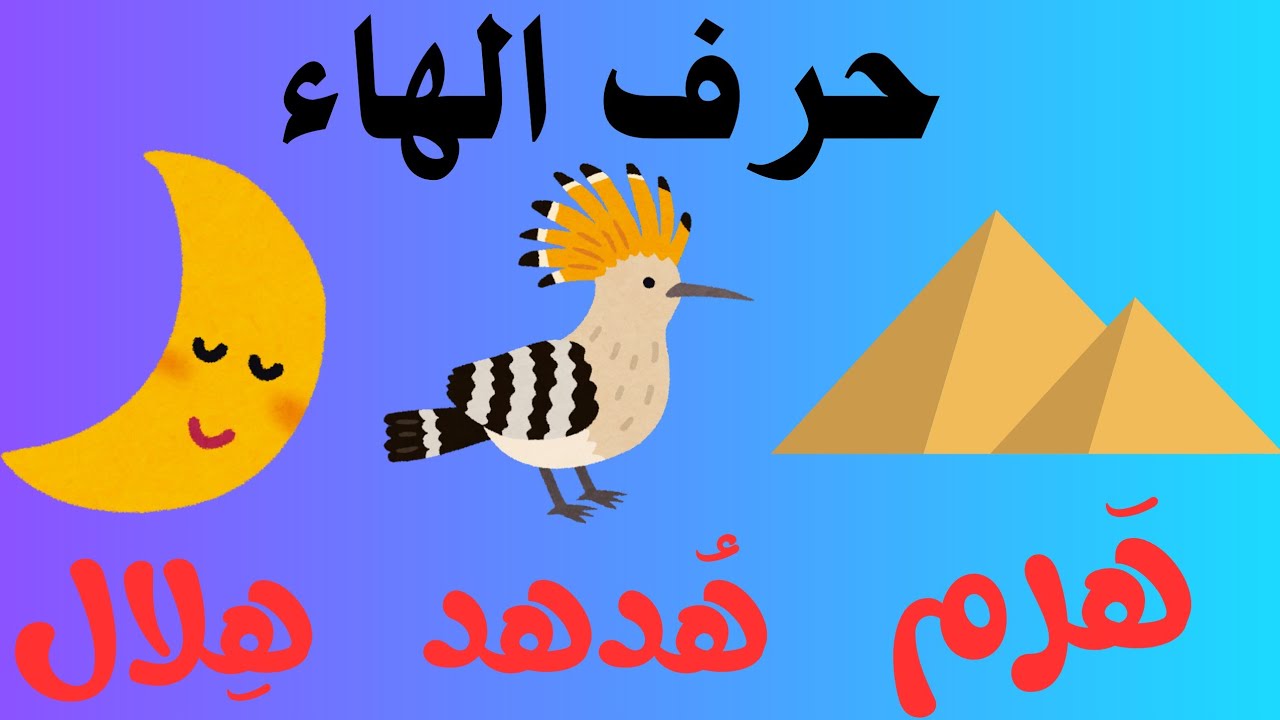 تعلم حرف الهاء للأطفال | هَ هٌ هِ مع كلمات وصور ممتعة 🌙🎁 - YouTube