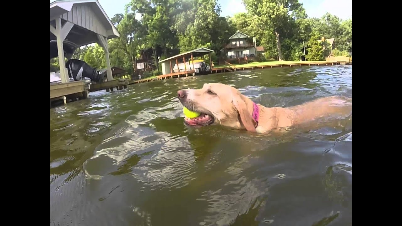 Lake Cypress Springs June 2015