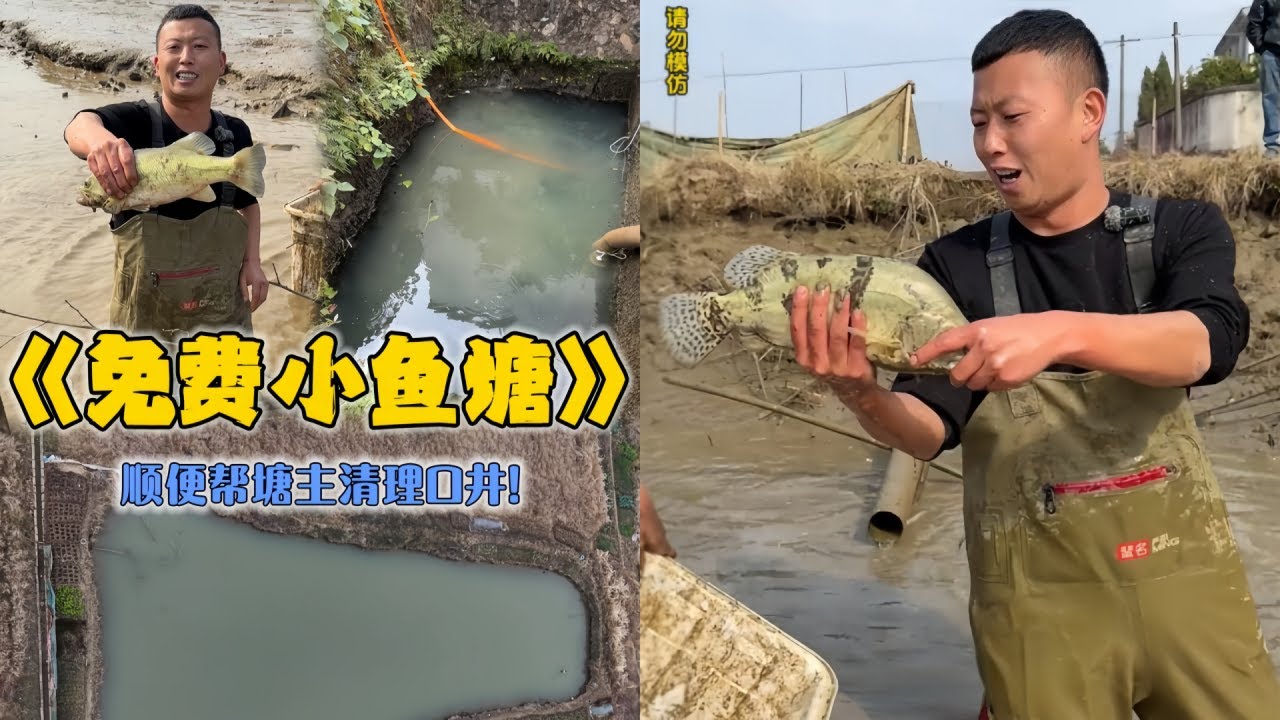 小飞哥免费包下口小鱼塘，塘主的条件是帮他清理古井