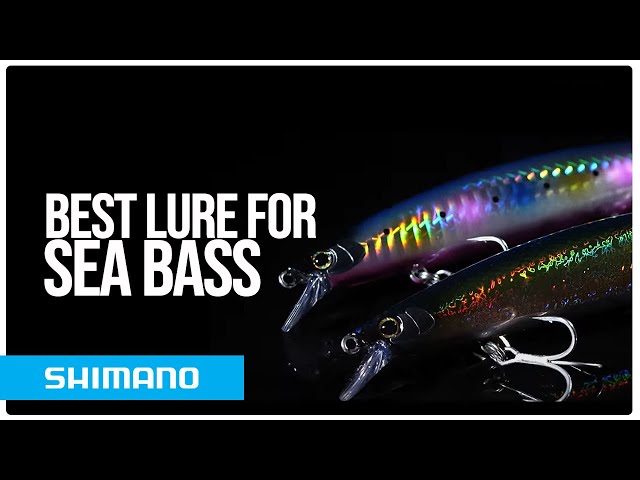 The best lure for Sea Bass, Zander and top water predators