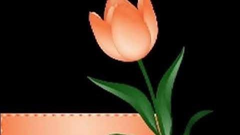 Grok AI Graphic to Video 