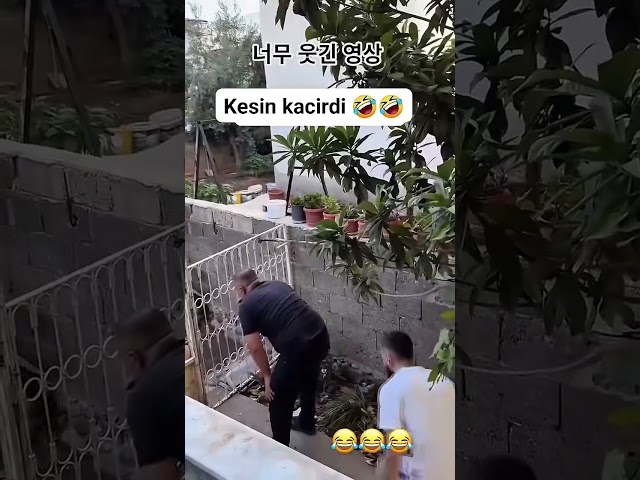 웃긴 영상 #funny #fun #comedy #memes #shorts #웃긴영상