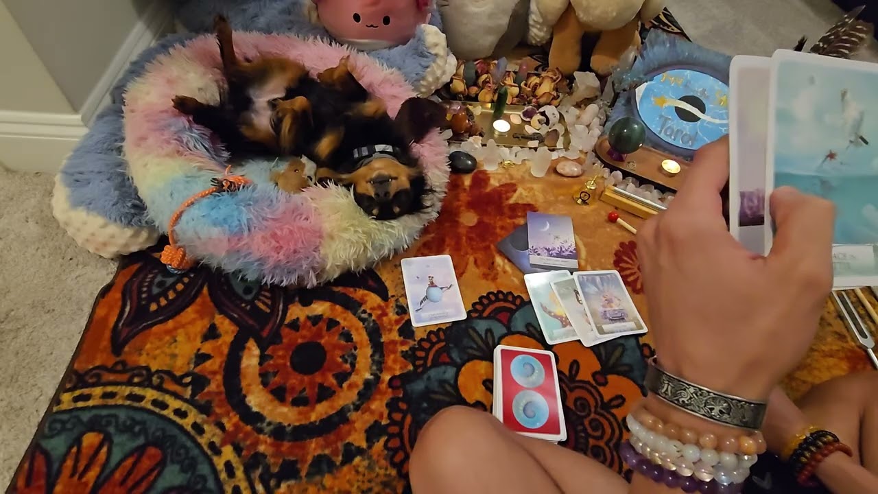 You're on vacation while they're in Jail!