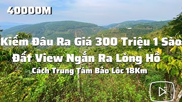 Đất Nghĩ Dưỡng Bảo Lộc Di Linh View Đẹp Không Chỗ Chê | Kiếm Đâu Ra Giá 300 Triệu 1 Sào