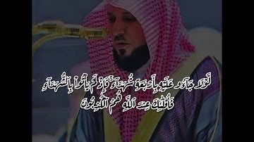 تلاوة خاشعة من سورة النور للقارئ الشيخ ماهر المعيقلي