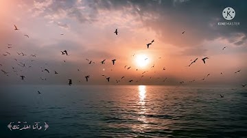 ﴿ وَأَنَا اخْتَرْتُكَ فَاسْتَمِعْ لِمَا يُوحَىٰ﴾ سورة طه آية (13)                  بصوت احمد خضر🖇💞