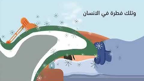 فضل اذكار الصباح والمساء