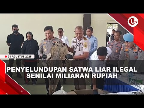 EKSPOR SATWA LIAR ILEGAL MILIK WNA VIETNAM DI BATAM TERBONGKAR | U-NEWS