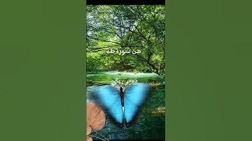 ايات من القران الكريم الشيخ ماهر المعيقلي #viralvideo #اكسبلور #cupcut #القرآن_الكريم #duet #fypシ