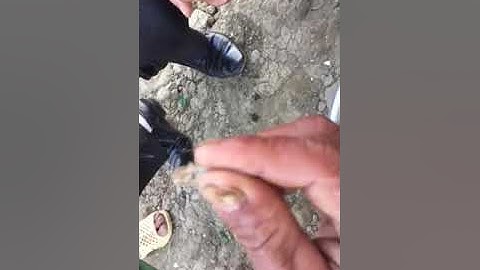 Quảng Bình - tôm càng xanh toàn đực Vĩnh Thuận