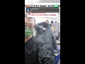@나무반지빈티샵🤣😘🤢 #패딩#구스다운#덕다운#코트#여성의류🔴🤑🤑🤑#땡처리#도매#특가#반티지#새상픔