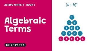 Algebraic Terms, Expanding Brackets & Pascal's Triangle | Active Maths 4 Book 1 · Ch1 Part 1