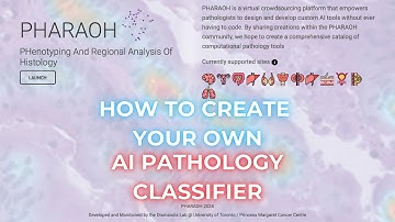How to Create your Own AI Pathology Classifier with PHARAOH