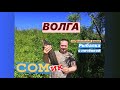 неПравильный фидер с ночёвкой на Волге. СОМик!!! Прикормка на леща.