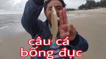 Câu cá đục bãi biển Đồi Dương Lagi Bình Thuận | nhựt sang volg