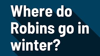Where do Robins go in winter?