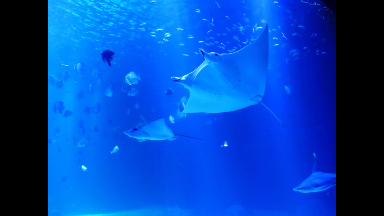 Teil 4: Dunkerque, Bologne-Sur-Mer, (Kontrolle), Fecamp