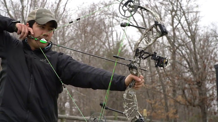 Bear wild hc compound bow review năm 2024