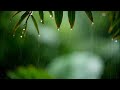 Rainy Piano Radio 🌧️ Relaxing Music with Rain Sounds 24/7 for Sleep, Study, Work