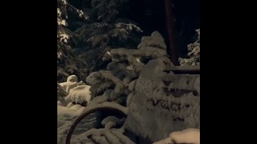 حالات واتس||القارئ/اسلام صبحي||سورة/النمل||تصاميم قران||انستقرام||استوري||مقاطع قصيرة