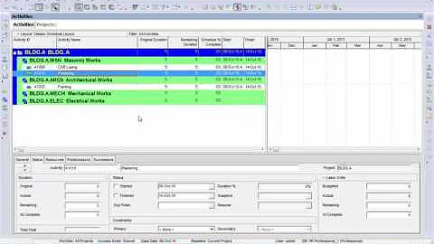 Solution to Primavera P6 WBS or Activity codes disappeared