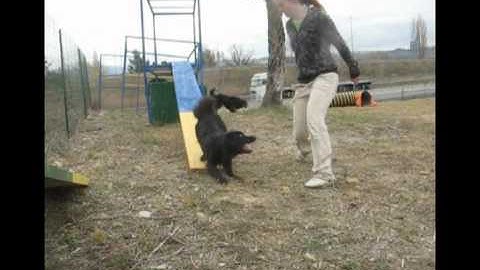 2on2off and running contacts training video