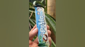 BOUNDYയുടെ ചാത്തൻ കിട്ടി 🍫 #shorts #viralshort #trending #food #sufailsvibes #m4tech #summervibes