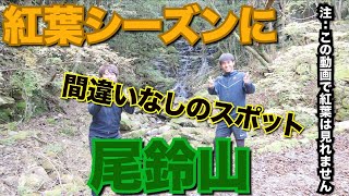 【悲報】尾鈴山散策に行ってみたが、待ち受けていたのは?!
