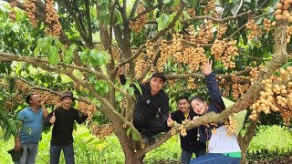 Xuyên việt T50 Đại tiệc Đặc sản Miệt Vườn trái cây Hậu Giang ngã 7. Nguyễn Tất Thắng