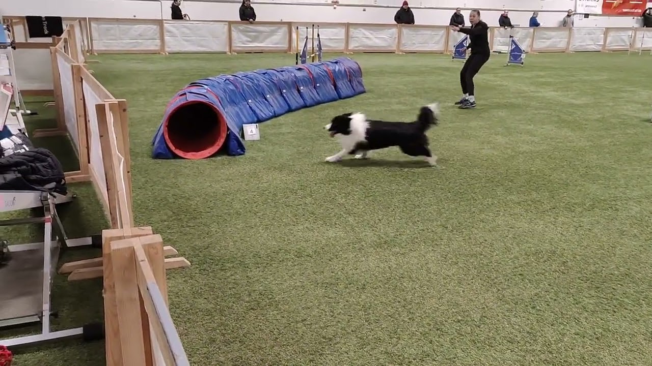 Vito 1lk ekat kisat Janakkala 17.4.2024