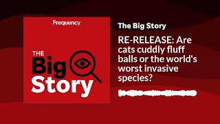 RERELEASE: Are cats cuddly fluff balls or the world's worst invasive species? | The Big Story