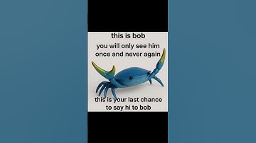 Use this sound #wgitachi #effectking #memes #lol #funny #idk #random #hashtag #randomhashtag