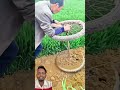 This farmer is so smart 👍😍