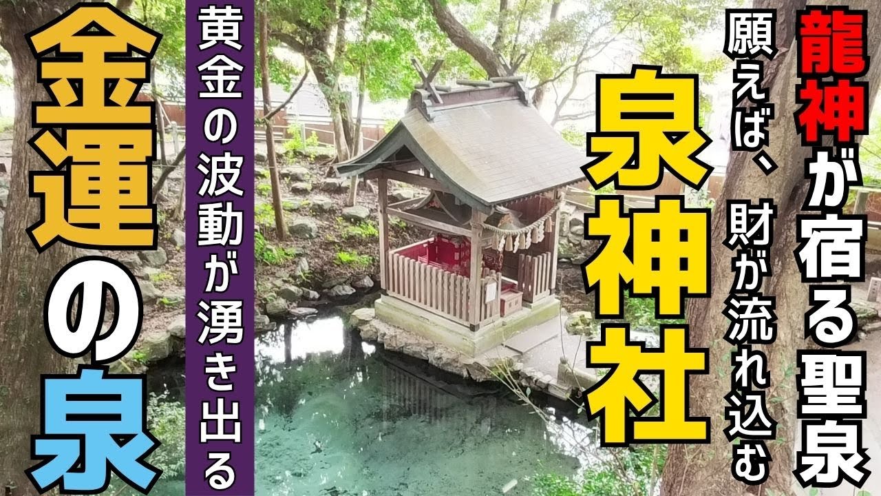 【これ、金脈!?】龍神の息吹そのもの「泉神社」かがみ池。『富のエネルギー』であなたの人生が変わる#金運アップ#パワースポット#龍神#神社遠隔参拝#スピリチュアル##縁結び#開運スポット #鏡ヶ池
