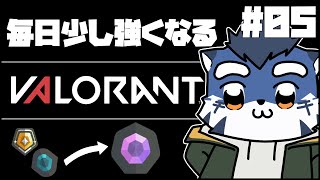 【valorant】ひとりぼっちは寂しいもんな【あおねぐぅず】