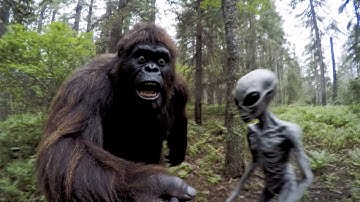 Bigfoot VLOG - Alien Arrival