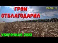 Уборка Озимой Пшеницы 2022 в Краснодарском Крае  / Урожайность Пшеницы  / Убираем Сорт ГРОМ.