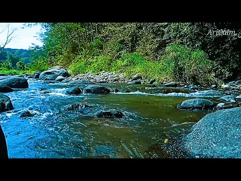 Babbling Brook Ambience – Soothing Water Flow for Sleep & Mental Relaxation #140
