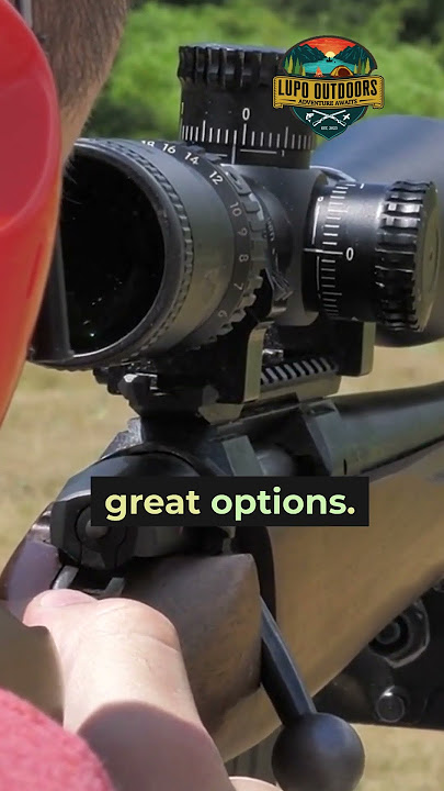 How to CHOOSE the Right Retical! #shorts #short