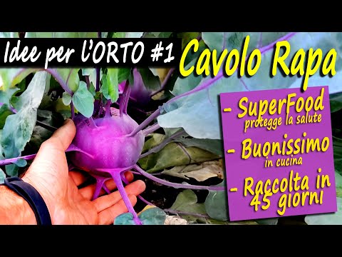 Video: Conservare il cavolo rapa - Come conservare le piante di cavolo rapa dal tuo giardino