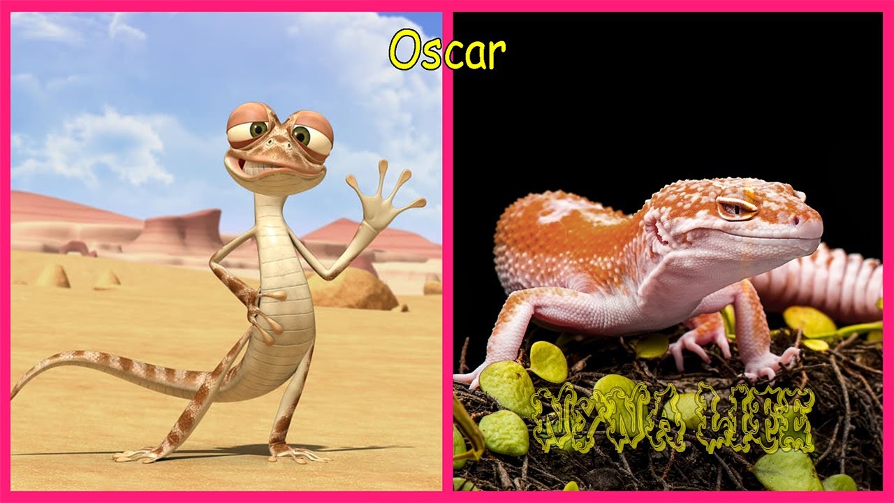Oscar's Oasis Characters in Real Life 