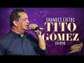 Capture de la vidéo Tito Gómez, Grandes Éxitos En Vivo - Salsa Power
