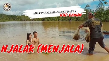 Adat Pernikahan Suku Dayak UUD DANUM di Kalimantan || Dayak Culture From Borneo